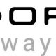 Dorsey Whitney LLC